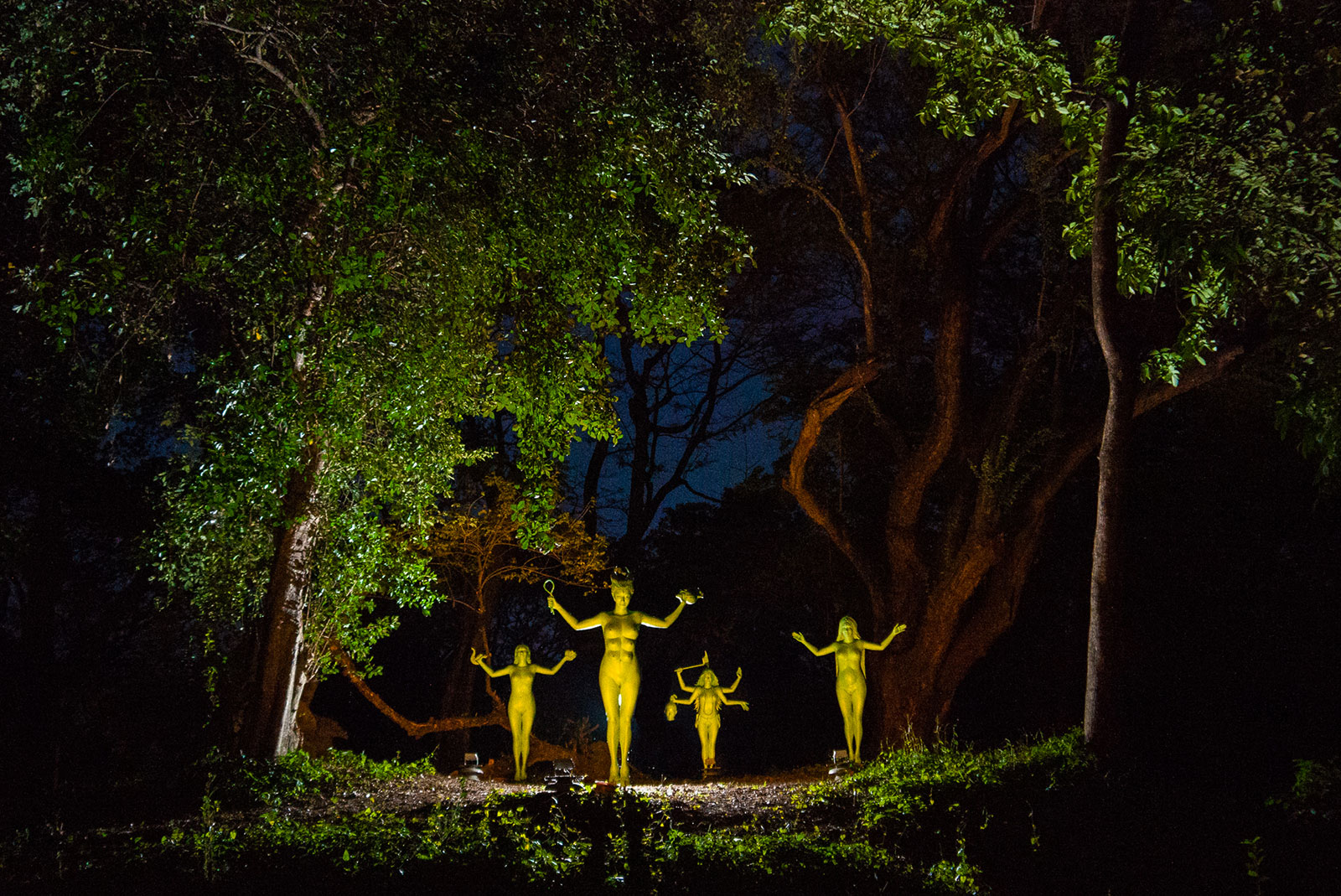 Pleiades 2 in a grove by night. Photo: Datu Arellano. Pleiades 2 in a grove by night. Photo: Datu Arellano.