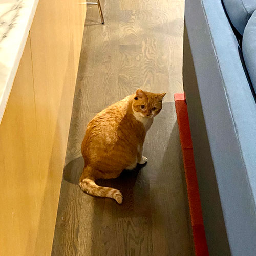 A rare sighting A rare sighting