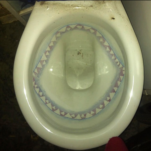 Nan's toilet interior